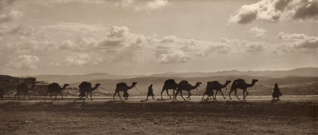 Vortrag “Auf den Spuren römischer Kamele. Ein neuer Ansatz zu Migrationsstudien mittels Kohlenstoff- und Sauerstoffisotopie” von Sophie Habinger (Reihe NeuBioArch)